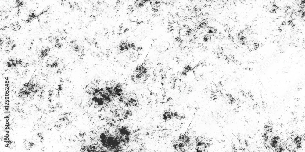 Fototapeta premium abstract grunge background. Grunge is black and white. Texture of scratches, chips, cracks. 