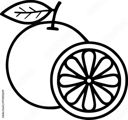 Hand-drawn orange fruit outline illustration, simple citrus line art for healthy food and organic product design