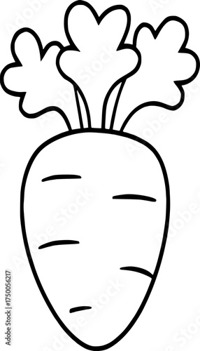 Hand-drawn carrot outline illustration, simple vegetable line art for healthy food and organic design
