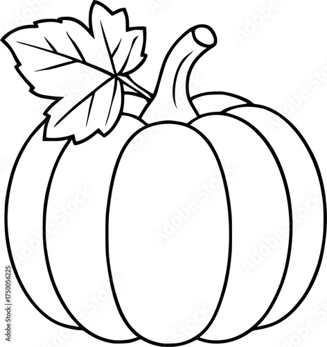 Hand-drawn carrot outline illustration, simple vegetable line art for healthy food and organic design