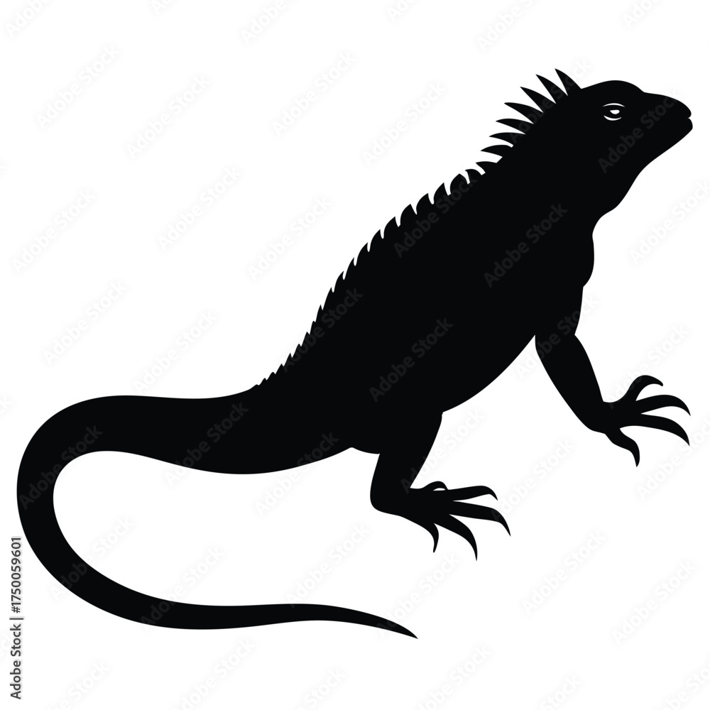Fototapeta premium an Iguana Lizard on White Background Vector Illustration