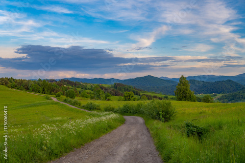 Fototapeta Naklejka Na Ścianę i Meble -  The landscape of the Bieszczady Mountains 