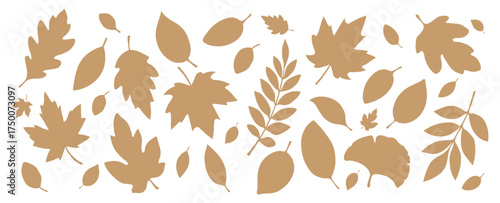 A set of silhouettes of autumn leaves of different shapes in beige on a white background. A collection of autumn leaves from different trees such as oak, maple, chestnut. Elements for your design