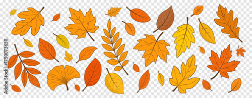 A set of autumn leaves isolated on a transparent background. Hello autumn. Elements for autumn designs. Vector EPS 10.
