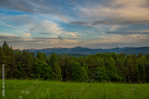 Krajobraz Bieszczad, w oddali widoczna Połonina Wetlińska i Smerek