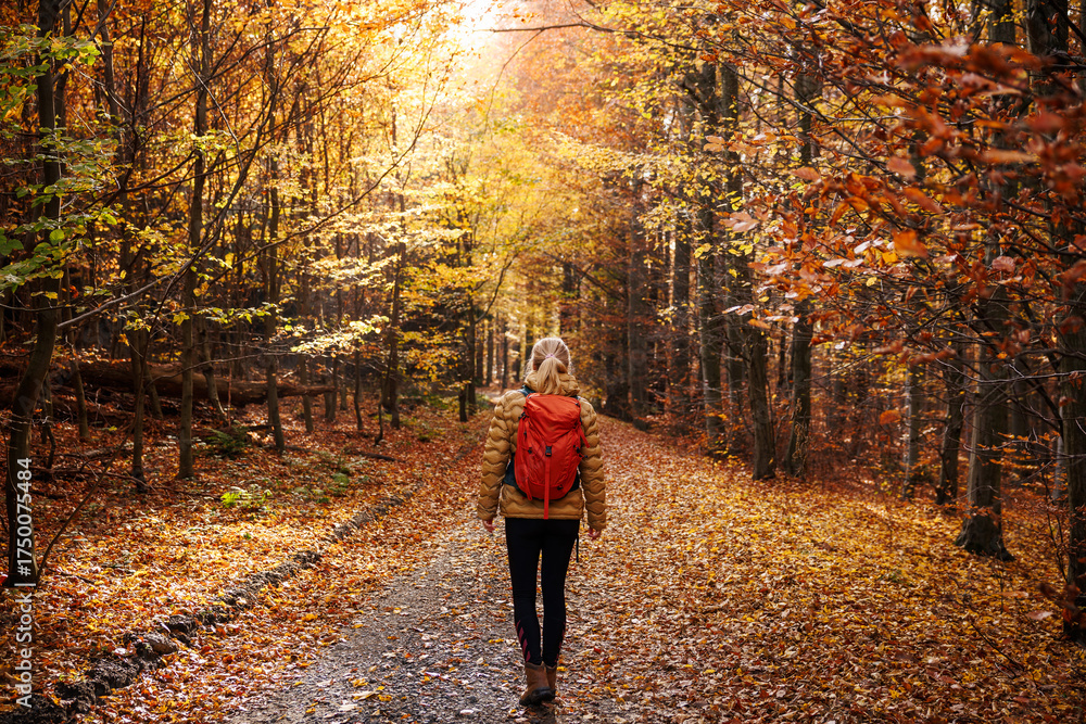 Fototapeta premium Tourist woman with red backpack hiking on footpath in autumn forest