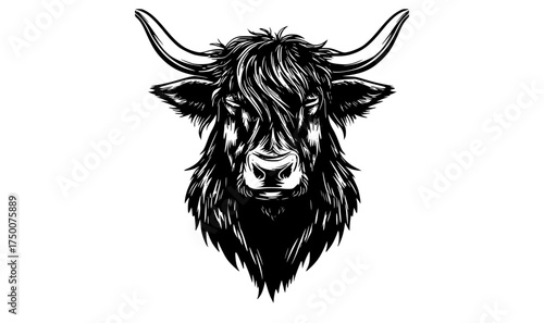 a black and white drawing of a highland cow head with long hair and hornsanimal, bison, black, buffalo, bull, head, illustration, image, logo, profile, trumpet, white, yak 