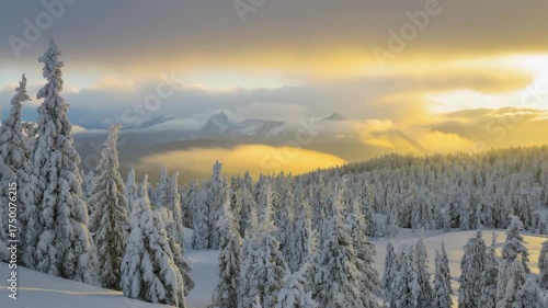 Majestic snow covered evergreen forest landscape at golden hour with distant mountain peaks