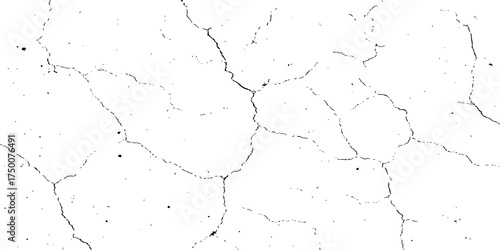 Old white paint on a wall with rough texture and subtle cracks offers a bright, vintage surface backdrop