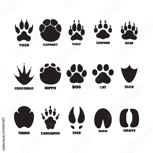 Animal paw prints and footprints silhouette set