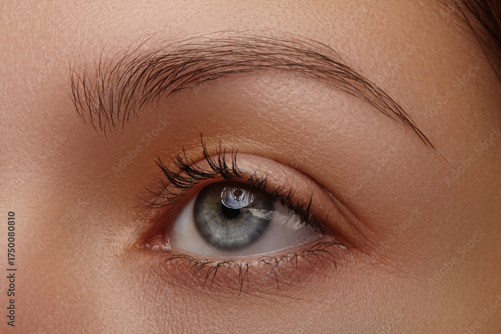 Fototapeta premium Close-up macro of a blue female eye with natural makeup, soft studio lighting, long natural lashes, perfect eyebrow and skin texture. Ideal for beauty, skincare and ophthalmology visuals