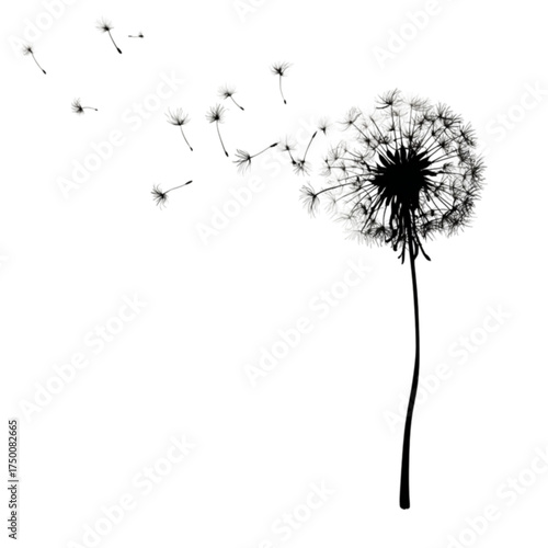 Black silhouette of a dandelion with seeds blowing in the wind.