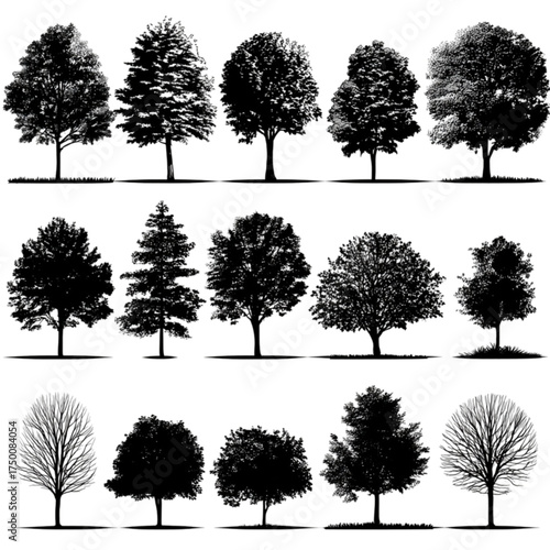 A diverse collection of black tree silhouettes isolated on white.