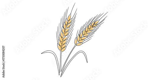 Two golden wheat stalks with green leaves and thin stems.