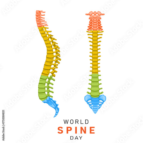 World Spine Day Vector illustration for social media post and banner