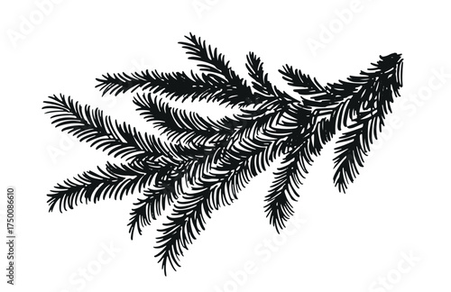 Christmas Tree branch on white	.