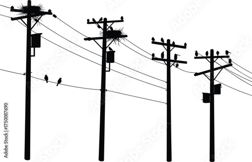 Silhouette utility poles, birds on power lines, nests and wildlife, electricity distribution network, urban energy grid, electrical infrastructure, industrial skyline, nature coexistence