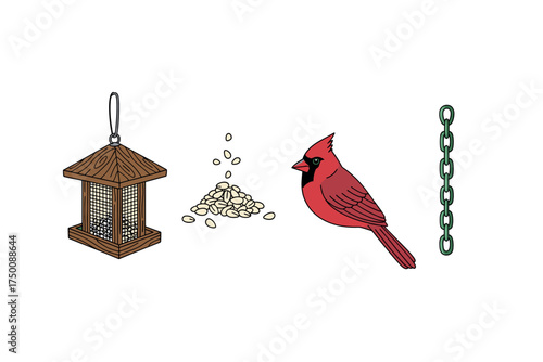 Red cardinal with bird feeder seeds and chain. Colorful icons set illustrated