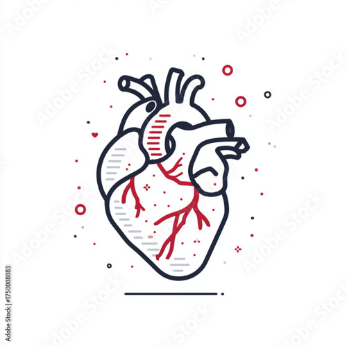 Stylized human heart anatomy illustration with red vessels.