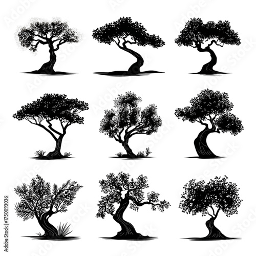 Artistic collection of nine different tree silhouettes in black ink.