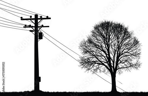 Utility pole silhouette, electricity distribution network, power lines with tree, urban energy grid, infrastructure and nature, electrical system, environmental context, contrast design