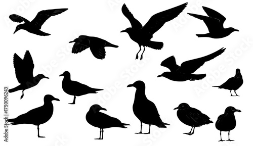 Collection of black seagull silhouettes in various flight and standing poses.