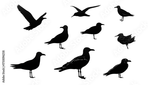 Collection of black seagull bird silhouettes in various poses.