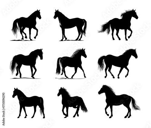 Set of nine black horse silhouettes in various dynamic poses isolated on white.
