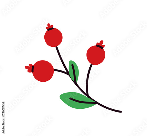 Vector cartoon of red berries on a branch with leaves. Illustration of fresh fruit like cranberry, holly, or currant.