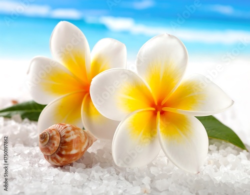 Beautiful Tropical Flowers on Sandy Beach.