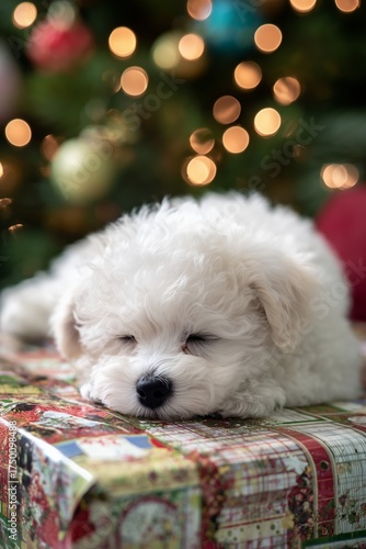 Cute Puppy Resting on a Wrapped Gift Near a Decorated Christmas Tree in Cozy ...