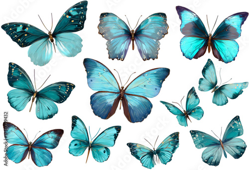 A beautiful collection of various blue butterflies isolated on a white background.