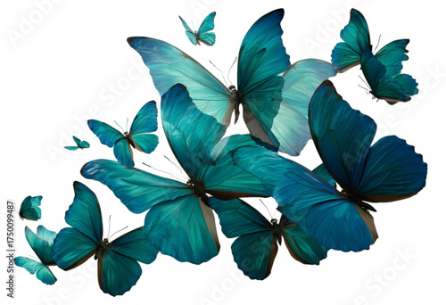 A beautiful flock of vibrant blue morpho butterflies in flight.
