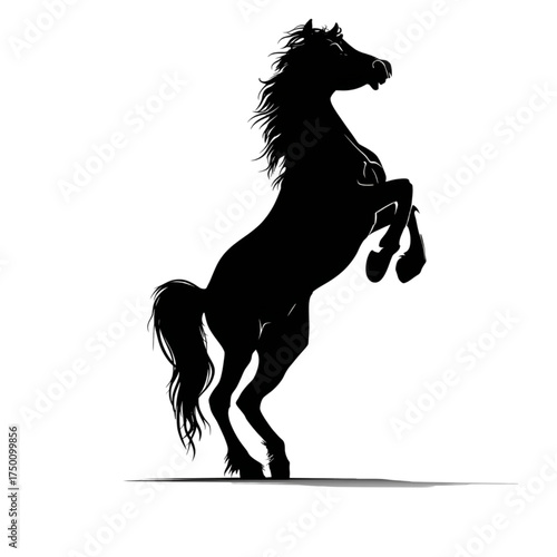 Black silhouette of a powerful horse rearing up on its hind legs.