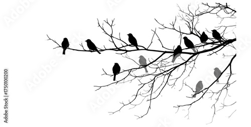 A flock of black bird silhouettes perched on a bare tree branch.