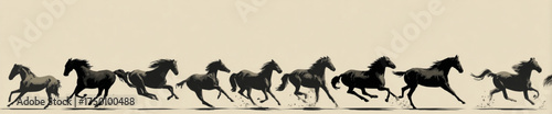 Vintage chronophotography sequence of a black horse galloping.