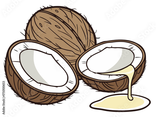 Coconut halves with oil flowing on transparent background. Coconut halves show creamy white flesh and natural oil. Concept of coconut products for wellness, beauty, and culinary uses.