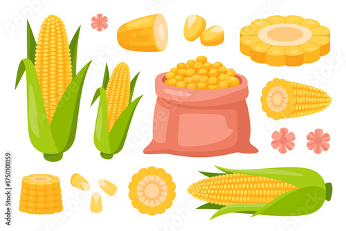 Corn on the Cob and Corn Kernels Still Life Isolated on White Background Delicious and Nutritious Vegetable Corn Illustration