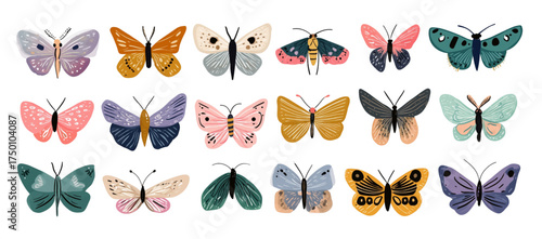 Artistic set of colorful butterfly and moth species illustrations.
