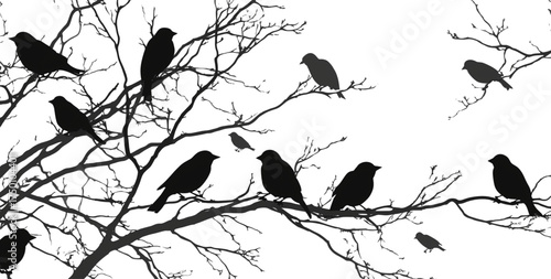 A flock of bird silhouettes perched on bare tree branches.