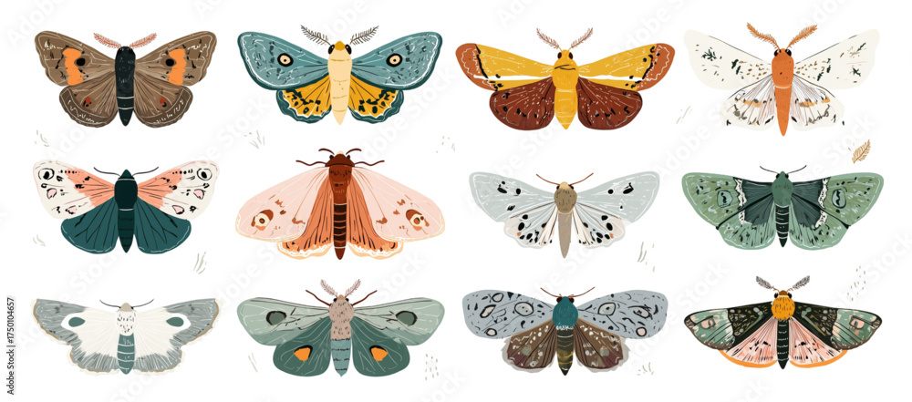 Obraz premium Beautifully illustrated set of colorful moths on white background.