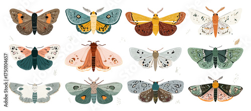 Beautifully illustrated set of colorful moths on white background.
