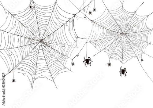 Black and white line art illustration of spiders on intricate webs.