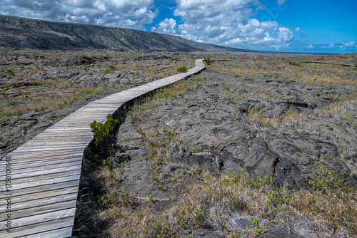 Along the Trail to the Pu'uloa Petroglyphs Field on Big Island, HI