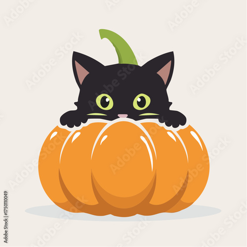 Cute Black Cat Peeking Out of an Orange Pumpkin on a Light Grey Background