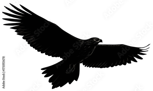 A detailed black and white illustration of a soaring eagle with outstretched wings, captured in mid-flight.