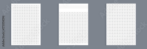 Graph paper set. Workbook for writing hieroglyphs. Realistic lined paper for printing. Geometric pattern for school. Simulator for writing Chinese characters. Page of calligraphy exercises.