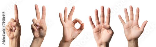 Counting with hands a visual representation of numbers one through five
