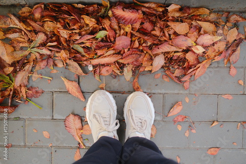 Feet in athletic shoes stand on a grey brick pathway covered in autumn leaves.