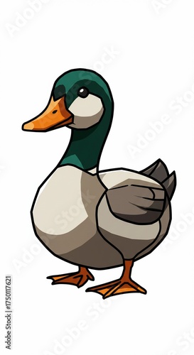 Mallard Duck: The elegant mallard duck, rendered in a striking illustration, showcases its characteristic features with detailed precision. A charming depiction of a beloved waterfowl.